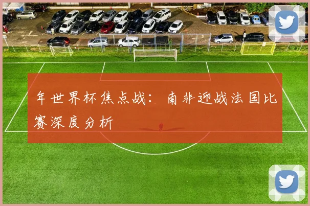 年世界杯焦点战：南非迎战法国比赛深度分析