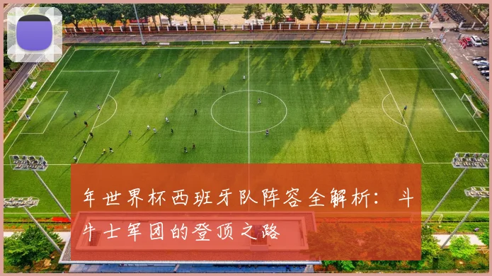 年世界杯西班牙队阵容全解析：斗牛士军团的登顶之路