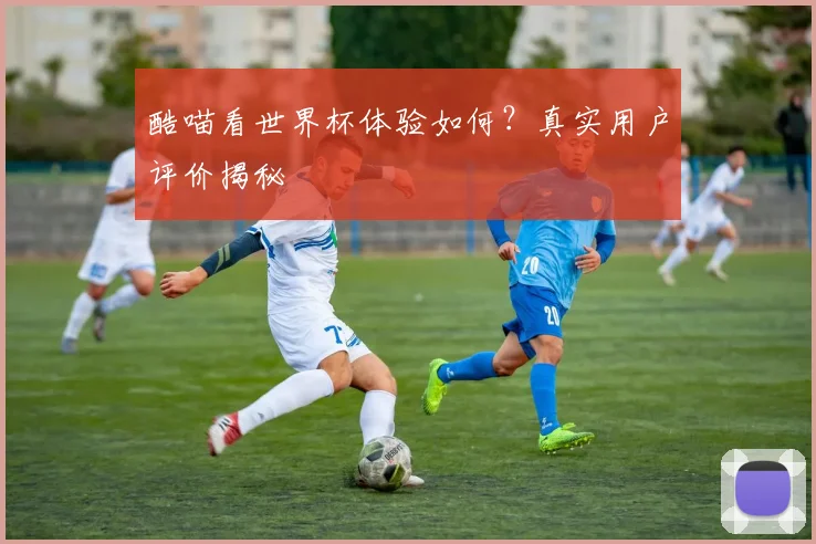 酷喵看世界杯体验如何？真实用户评价揭秘